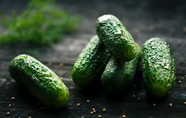 The dark background, Board, dill, cucumbers, spices, pickles, salted, salt