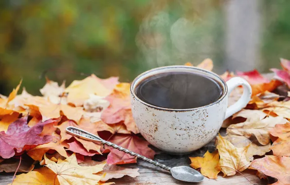 Autumn, leaves, wood, autumn, leaves, coffee cup, a Cup of coffee