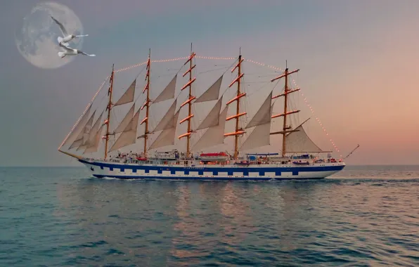 The moon, seagulls, sailboat, the evening, illumination