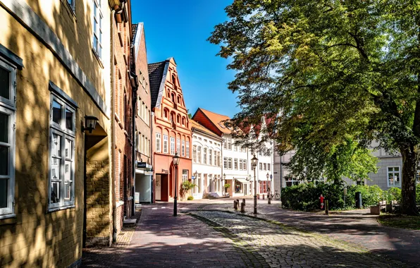 Picture trees, the city, street, building, Germany