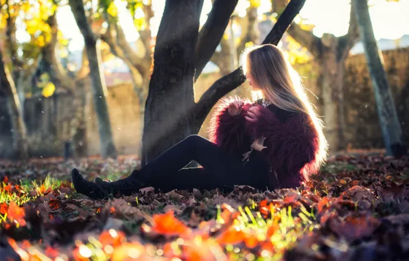 Picture autumn, girl, the sun, trees, photo, foliage, model, hair