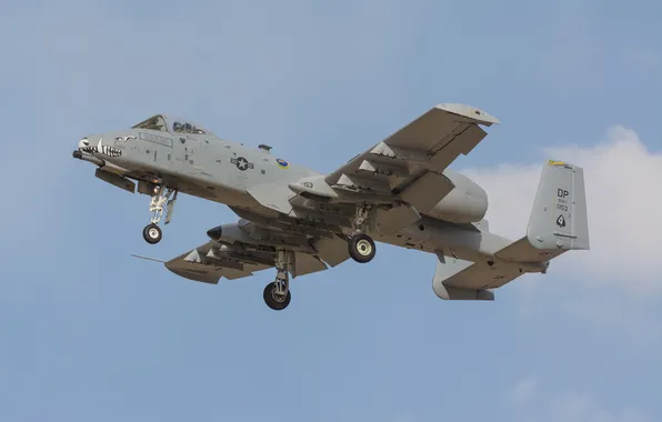 Picture attack, A-10, Thunderbolt II, single