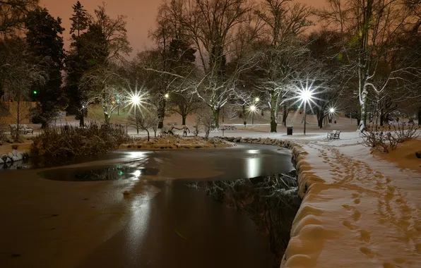 Picture Washington, Tacoma, Wright Park, Snow night