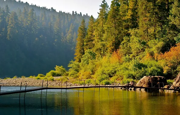 Autumn, forest, trees, bridge, lake, stones, shore, CA
