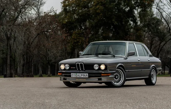 Wallpaper BMW, ALPINA, E12, B7 TURBO images for desktop, section bmw ...