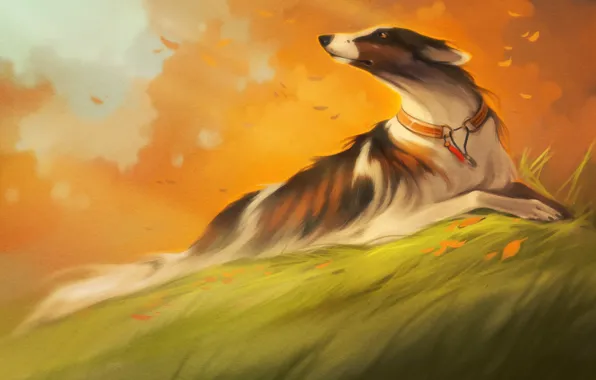 Forest, dog, art, collar, Greyhound