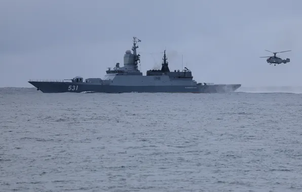 Exercises, Corvette, Quick-witted