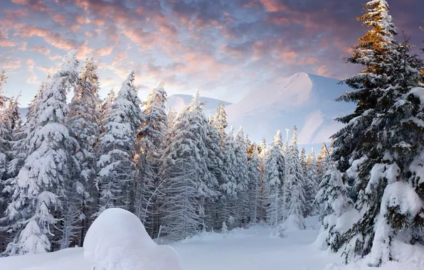 Winter, forest, the sky, clouds, snow, landscape, sunset, mountains