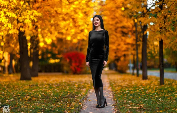 Picture autumn, look, leaves, trees, sexy, pose, smile, Park
