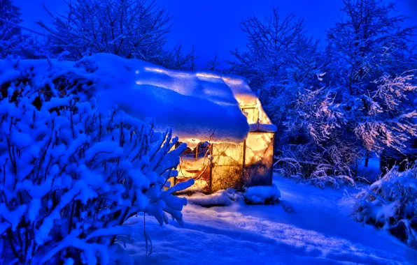 Winter, light, snow, trees, nature, house