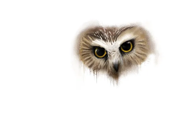 Picture owl, art, Animals, Sergey Yasnikov
