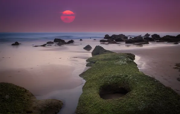 Picture sea, beach, the sun, sunset, stones, rocks, morning
