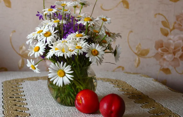 Flowers, table, apples, chamomile, red, vase, fruit, still life