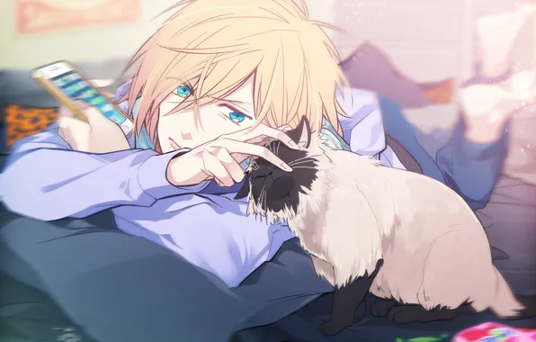 Picture cat, look, anime, art, guy, Yuri, Yuri on the ice, Yuri On Ice