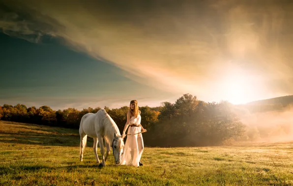 Field, the sky, grass, horse, Girl, the bushes