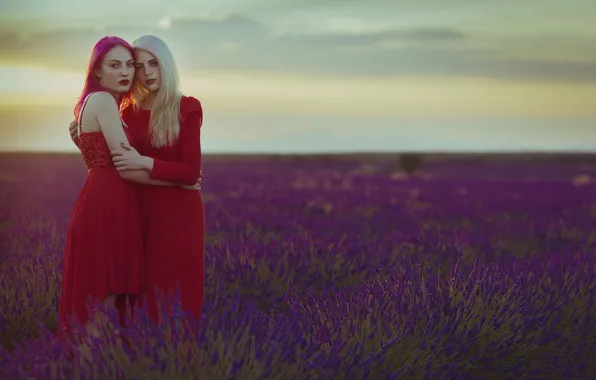 Field, girls, hair, dress, face, in the arms of