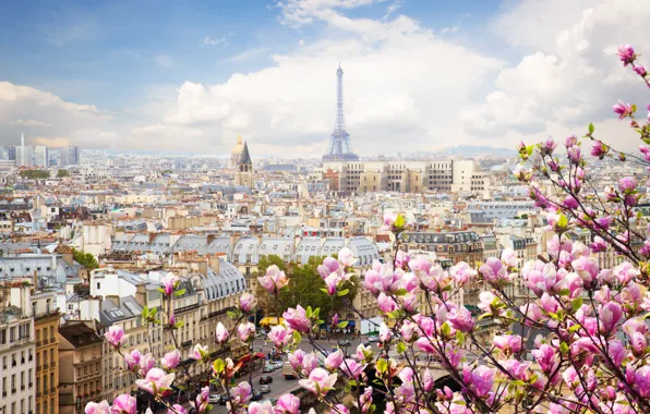 Picture France, Paris, Spring.