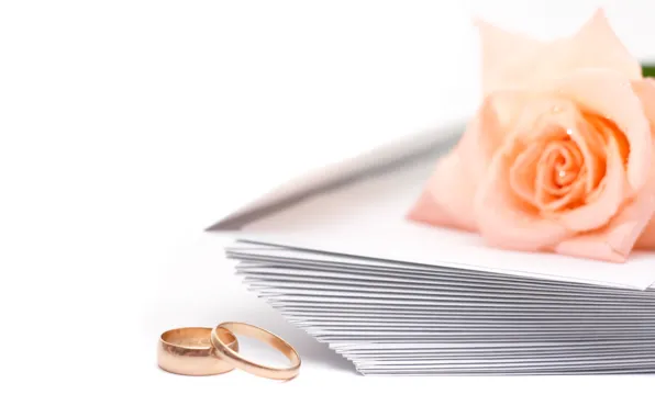 Rose, Engagement rings, wedding, envelopes