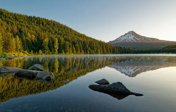 Forest, the sky, water, trees, lake, reflection, stones, mountain
