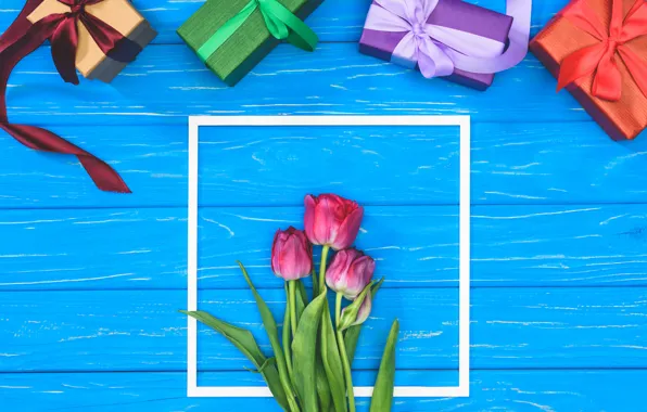 Gift, tulips, Holiday