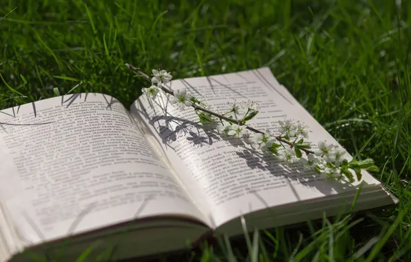 Picture flower, grass, nature, plants, book