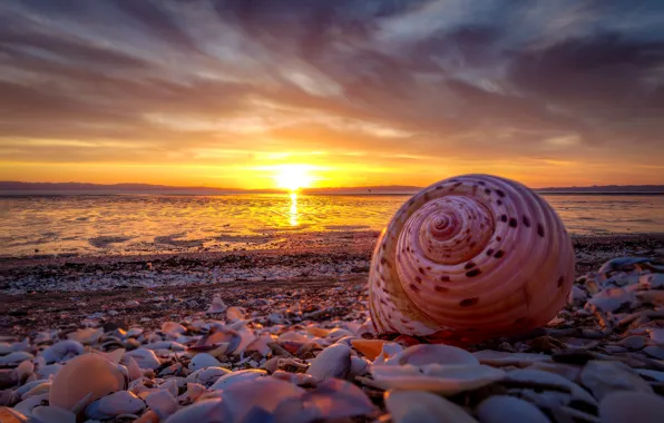 Sea, beach, the sky, the sun, clouds, sunset, shore, coast