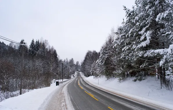 Road, winter, telephone line