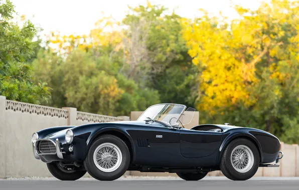 Black, Shelby, retro cars, 1963, Shelby Cobra, the only instance, Cobra 289, sports cars