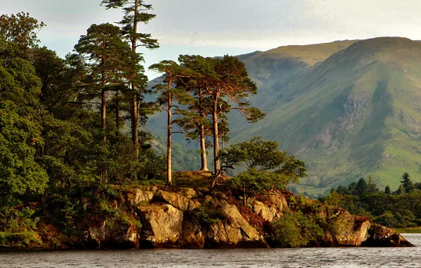 Picture trees, mountains, lake, stones, shore, UK, Cumbria, Ullswater