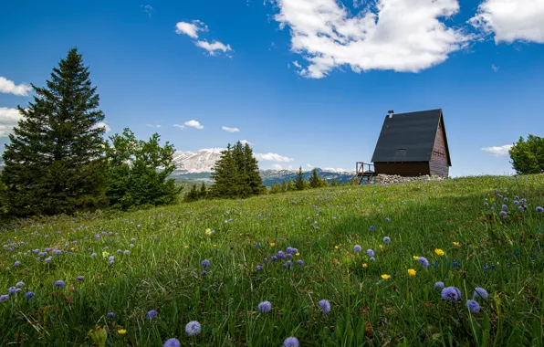 Picture summer, mountains, France, Alps, meadow, Vercors Massif