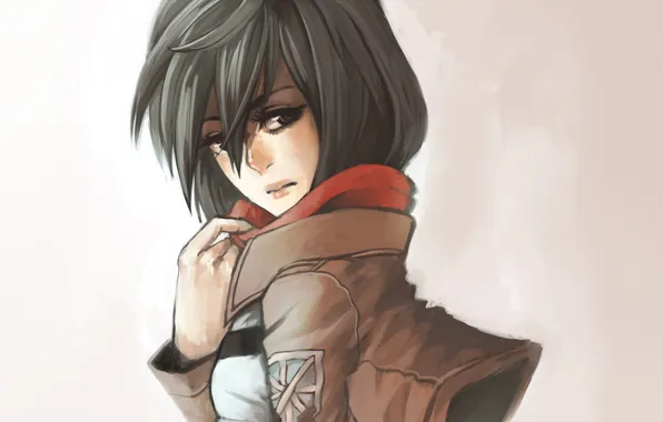 Look, girl, art, jacket, Mikasa Ackerman, Attack Of The Titans