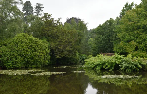 Picture Nature, Lake, Summer, Nature, Summer, Lake