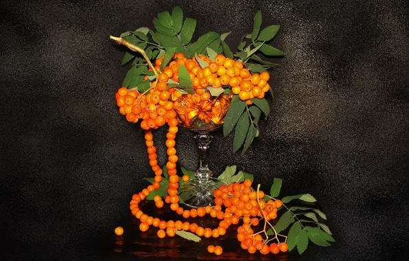 Picture still life, Rowan, the Wallpapers, author's photo by Elena Anikina, ashberry beads