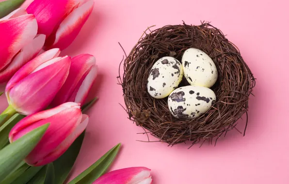 Holiday, eggs, Easter, socket, tulips