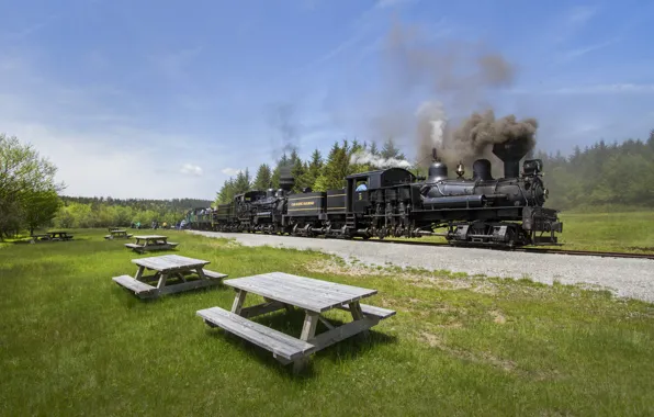 Mountains, Grass, Trees, Smoke, The engine, Rails, Couples, Table