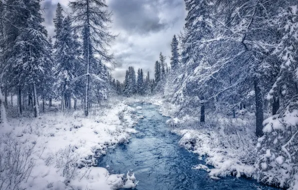 Picture river, nature, winter, snow