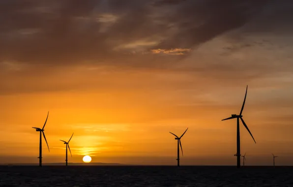 Sea, sunset, windmills