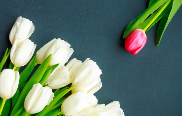 Picture red, bouquet, spring, tulips, white