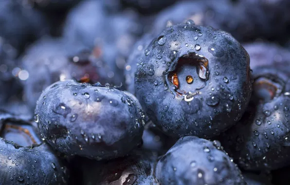 Macro, berries, blueberries