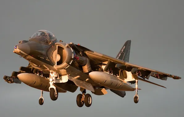 Picture Harrier, GR7, Harrier