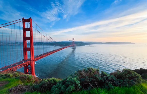 Picture road, the sky, grass, water, machine, bridge, the city, highway