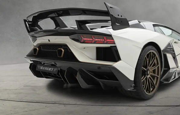 Power, supercar, sports car, supercar, Lamborghini Aventador, Mansory, sports car, the only instance