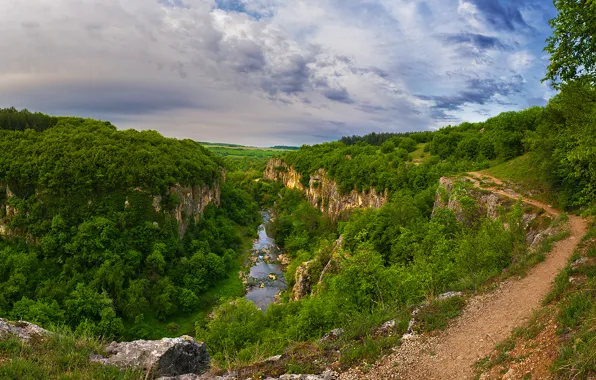 Picture forest, the sky, clouds, trees, landscape, mountains, nature, river