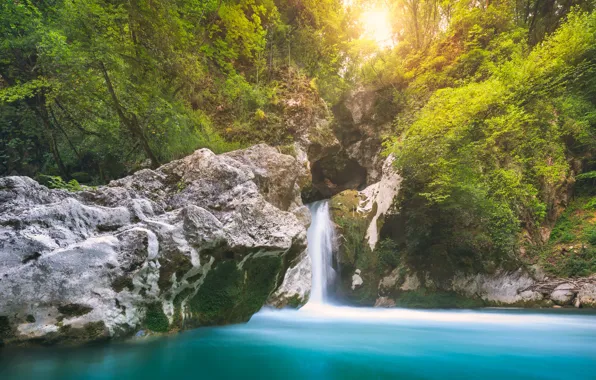 The sun, trees, waterfall