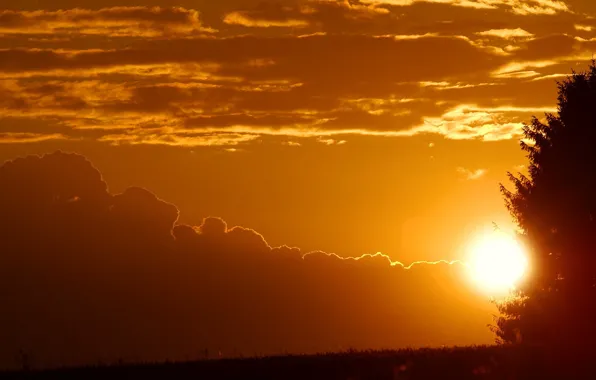 The sky, clouds, trees, sunset