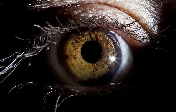 Eyes, macro, background