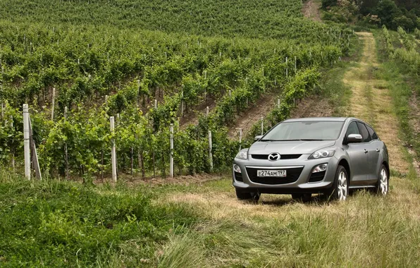 Picture grass, grey, Mazda, jeep, vineyard, Mazda, the front, crossover