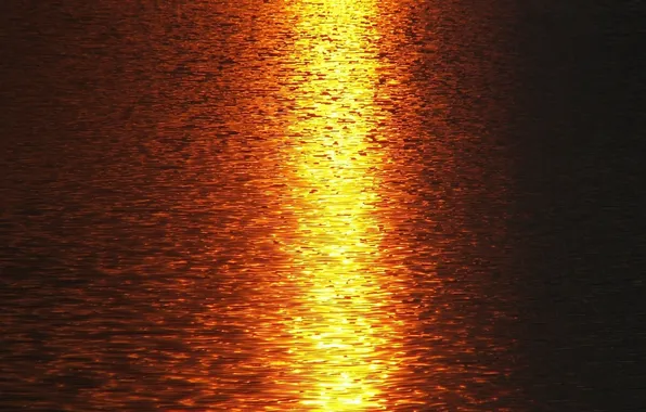 Sea, water, the sun, light, sunset, nature, reflection, river