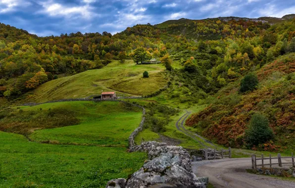 Road, autumn, trees, hills, field, Spain, Leon