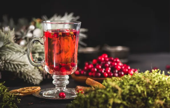 Glass, branches, berries, the dark background, tea, glass, moss, fruit